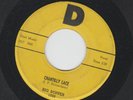 ROCKABILLY & HALLOWEEN NOVELTIES 45- BIG BOPPER - CHANTILLY LACE  - HEAR 1958 D
