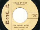 GOLDEN TONES Ocean Of Tears / You Left .. HUSH Rare Bay Area Doo Wop R&B 45 Hear