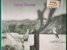 TONTON MACOUTE - Tonton Macoute - LP AKARMA  NO BARCODE NM