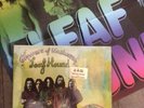 LEAF HOUND - Growers of  mushroom - LP AKARMA NM