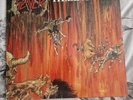 SLAYER HELL AWAITS 1985 22 INCH VINYL