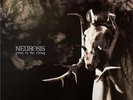 New Music Neurosis 