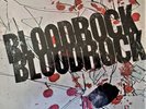 BLOODROCK - PSYCHEDELIC ROCK LP - NEAR MINT - NEVER PLAYED - SEE PICS