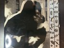 Viktor Vaughn – Vaudeville Villain 2 x Vinyl, LP, Album Gatefold