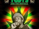 Toots and The Maytals Pressure Drop: The Golden Years  (Vinyl)  12
