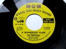 THE CHEROKEES - A WONDROUS PLACE - GARAGE PROMO - EX  45 RPM RECORD