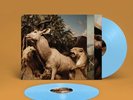 Interpol: Our Love To Admire Reissued Blue Coloured Vinyl 2 x LP