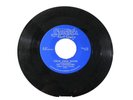 45 RECORD - THE DANDERLIERS - CHOP CHOP BOOM