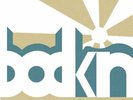 Bodkin Bodkin - Bodkin  (Vinyl)  (UK IMPORT)