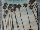 Young Gun Silver Fox – West End Coast LP, France