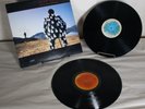 Pink Floyd DELICATE SOUND OF THUNDER VINYL RECORD