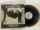 Saccharine Trust – Paganicons LP SST 006 - 1981 - Punk - Tip On Sleeve - VG+