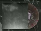 THE CHARIOT LONG LIVE RSD 2021 Half Clear/Silver/Black Splatter NEW (Norma Jean)