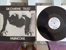 LP SACCHARINE TRUST PAGANICONS SST 45 RPM 1981 RARE