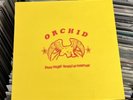Orchid Dance Tonight Revolution Tomorrow 10