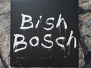 Scott Walker - Bish Bosch 2xLP Vinyl + CD EX 4AD  CAD3220 2012