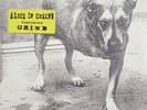 Alice In Chains self titled gate fold vinyl 2 LP 1st press 1995 s/t tripod