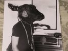 Shakey Graves Roll The Bones 2011 LP. NM