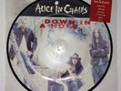 Alice In Chains Down In A Hole 7 Inch Vinyl Picture Disc 45 RPM