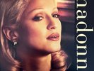 Madonna maxi single vinyle Fever