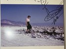 Pinback Blue Screen Life LP Blue Splatter Vinyl RSD 2016 Rare 1 of 1