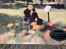 Classic Records The Reiner Sound 200g Clarity Super Vinyl Living Stereo 2183