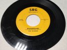 The Echoes Baby Blue Boomerang Rare Doo Wop 45 SRG 45-101 Yellow Label 1960