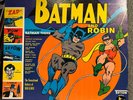 BATMAN & ROBIN - Sensational Guitars Of Dan & Dale - 12