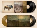 Heartless Bastards ARROW Limited Edition PARTISAN RECORDS New Black Vinyl 2 LP