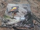 Circa Survive - THE AMULET - Black / Clear Blue Splatter Split  SEALED