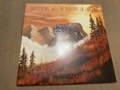 Everything Will Be Alright in the End by Weezer (Vinyl Record, 2014)