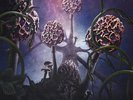 Blut Aus Nord - Hallucinogen DLP