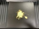 Wolf Alice My Love Is Cool BOX SET Deluxe with Blush Creature Songs 10