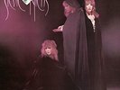 Stevie Nicks The Wild Heart Vinyl LP NEW SEALED 180G 2016 EU Reissue