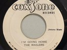 The Wailers - I'm Going Home / It Hurts To Be Alone 45 Coxsone