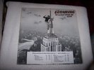 LP--DAVID BROMBERG--WANTED DEAD OR ALIVE  **PROMO**  **NM VINYL**   #828