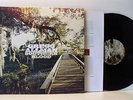 GREGG ALLMAN southern blood LP EX/EX, 0888072004856, vinyl, album, with inner