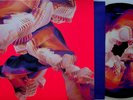 BICEP- Isles 2-LP (2021 Picture Disc Vinyl) Tech-House/Breakbeat Ninja Tune