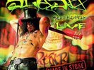 SLASH: MADE IN STOKE 24/7/11 [LP vinyl]