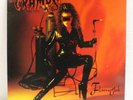 THE CRAMPS 
