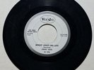 HEAR  RARE R&B BLUES VG+ 45 Jimmy Reed Bright Lights Big City VEE JAY PROMO WLP