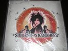 SIOUXSIE AND THE BANSHEES SELF TITLED 2-LP 12