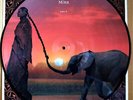 MINA. BULA BULA LP PICTURE DISC Ediz. Limitata NUMERATO M/M 2009