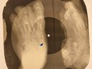 Doors - Spanish Caravan X-RAY FOOT BONES RECORDS USSR 92