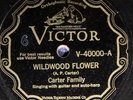The Carter Family VICTOR 40000 E- 