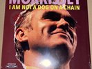 MORRISSEY  NOT A DOG ON A CHAIN   CLEAR RED VINYL LP  FACTORY SEALED  MINT