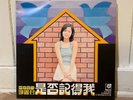RARE Hong Kong LP, 1973, TERESA TENG, THERESA TENG (鄧麗君–悲哀的夢)