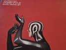 (142) Oakenfold* ‎– Southern Sun / Ready Steady Go 12