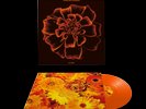 SIOUXSIE AND THE BANSHEES ALL SOULS  Orange Vinyl LP NEW SEALED 21/10/22