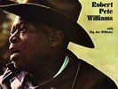 Robert Pete Williams With Big Joe Williams - LP OVP- Pure Pleasure Records ‎225